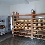 Apartmán Pag 16100c *