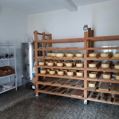 Appartement Pag 16100c *