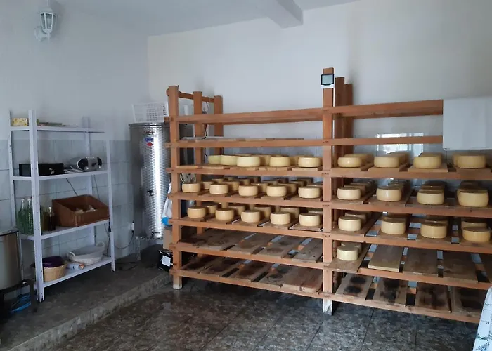 Apartmán Pag 16100c *